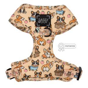 Sassy Woof Corgilicious Large Dog Harness